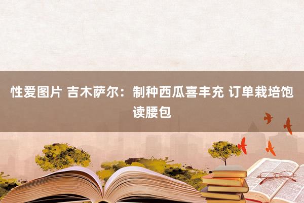 性爱图片 吉木萨尔：制种西瓜喜丰充 订单栽培饱读腰包