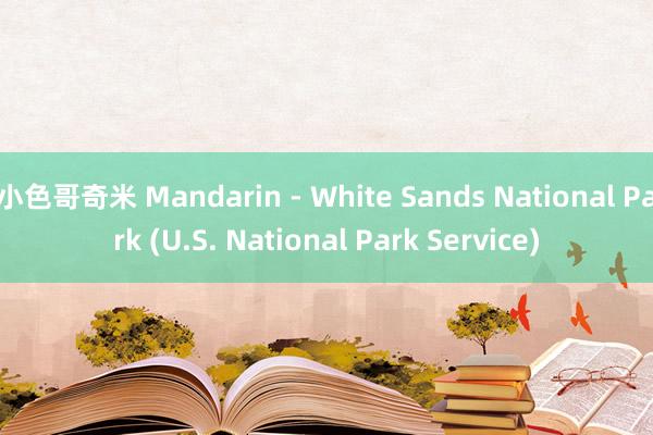 小色哥奇米 Mandarin - White Sands National Park (U.S. National Park Service)