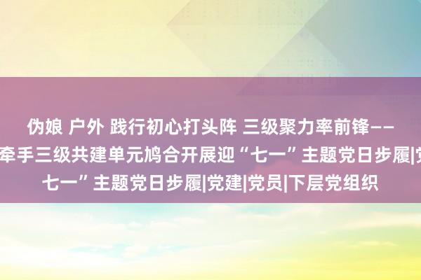 伪娘 户外 践行初心打头阵 三级聚力率前锋——市南区纪委监委机关牵手三级共建单元鸠合开展迎“七一”主题党日步履|党建|党员|下层党组织