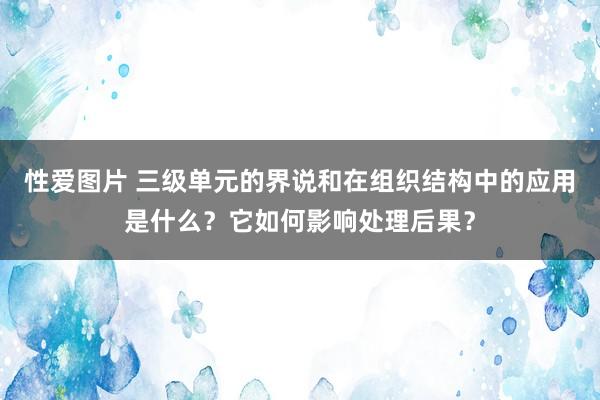 性爱图片 三级单元的界说和在组织结构中的应用是什么？它如何影响处理后果？