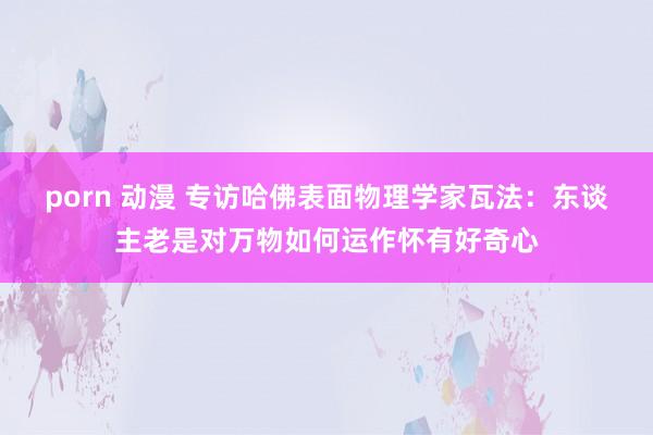 porn 动漫 专访哈佛表面物理学家瓦法：东谈主老是对万物如何运作怀有好奇心