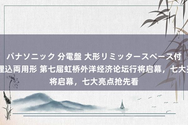 パナソニック 分電盤 大形リミッタースペース付 露出・半埋込