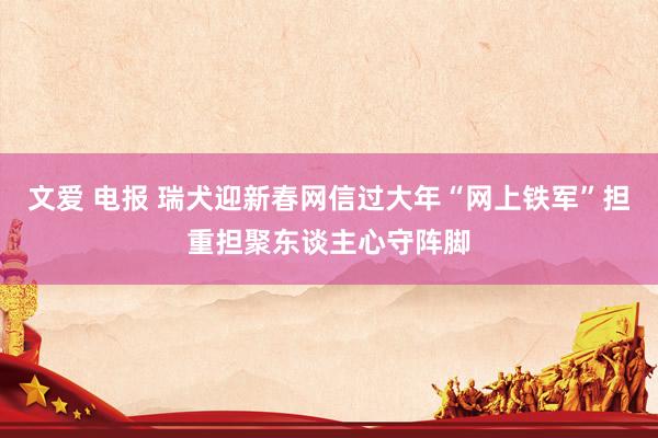 文爱 电报 瑞犬迎新春网信过大年“网上铁军”担重担聚东谈主心